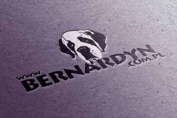 Bernardyn.com.pl
